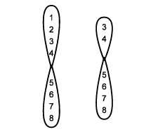 Types of Mutation | Additional Study Material for NEET