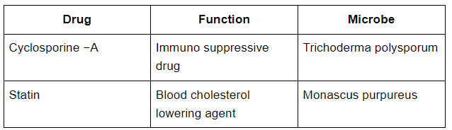 NCERT Solutions Class 12 Biology Chapter 8 - Microbes in Human Welfare
