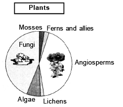 Biodiversity Conservation | Biology Class 12 - NEET
