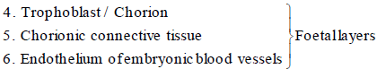 Implantation & Placenta | Biology for Grade 12