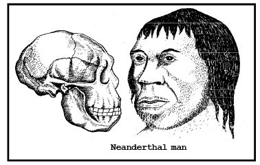 Human Evolution (Part - 2) - Notes, Botany, Class 12