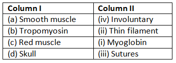 Locomotion & Movement NCERT Solutions | Biology Class 11 - NEET