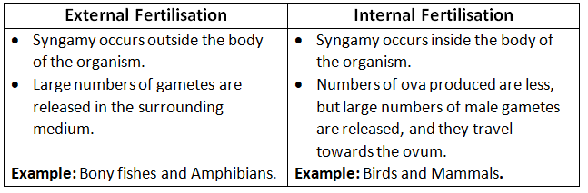 Sexual Reproduction | Biology for Grade 12