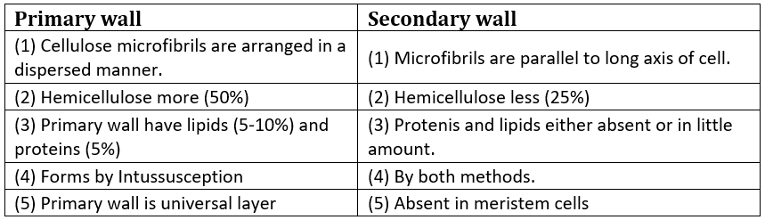 Plant Cell & Animal Cell | Biology for Grade 10