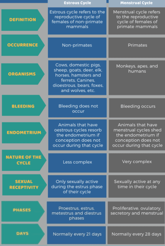 Sexual Reproduction | Biology for Grade 12