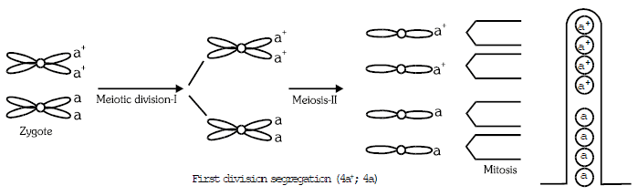 Genetics, Class 12, Biology | General Awareness - Bank Exams
