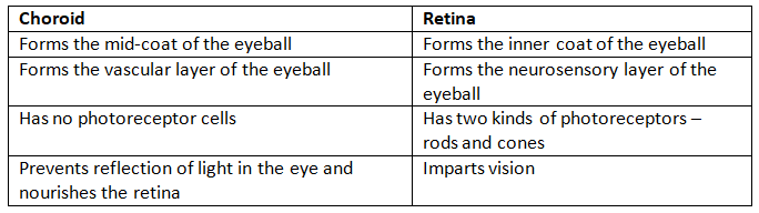 Neural Control & Coordination NCERT Solutions | Biology Class 11 - NEET