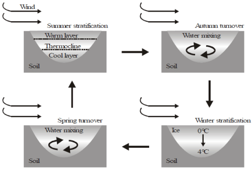 Abiotic Factors & Responses to Abiotic Factors | Biology for JAMB