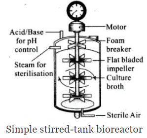 NCERT Exemplar: Biotechnology: Principle & Processes | Biology Class 12 - NEET