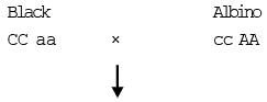 Gene Interaction | Additional Study Material for NEET