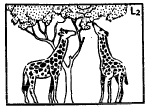 Theories of Organic Evolution (Part - 1) - Notes, Botany, Class 12