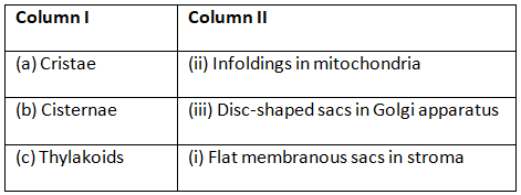 Cell: The Unit of Life NCERT Solutions | Biology Class 11 - NEET