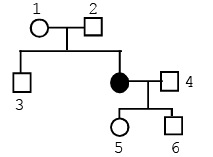 Genetics | Additional Study Material for NEET