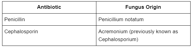 NCERT Solutions Class 12 Biology Chapter 8 - Microbes in Human Welfare