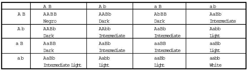 Polygenic Inheritance - Principles of Inheritance and Evolution, Biology, Class 12