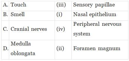 NCERT Exemplar: Structural Organisation in Animals | Biology Class 11 - NEET