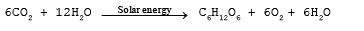 Origin of Life (Part - 2) - Notes, Botany, Class 12