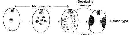 Reproduction in Plant (Part - 5) - Notes, Botany, Class 12
