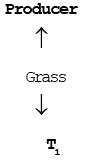 Components: Producers & Consumers | Biology for EmSAT Achieve