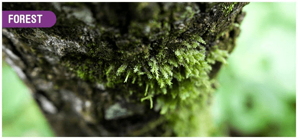 Adaptation & Habitats | AP Biology - Grade 9