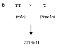 Genetics, Class 12, Biology | General Awareness - Bank Exams