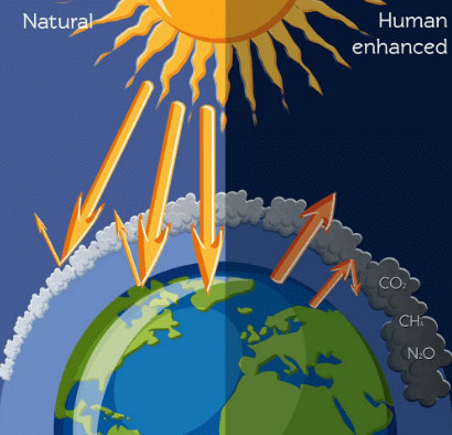 Environmental Issues (Old NCERT) NCERT Solutions | General Science for Competitive Exams - RRB Group D / RPF Constable