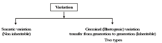 Genetics, Class 12, Biology | General Awareness - Bank Exams
