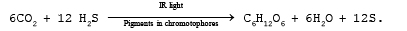 Photosynthesis: Site, Type & Factors Affecting | Biology for JAMB