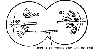 Genetics, Class 12, Biology | General Awareness - Bank Exams