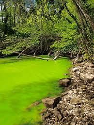 Environmental Issues (Old NCERT) NCERT Solutions | General Science for Competitive Exams - RRB Group D / RPF Constable