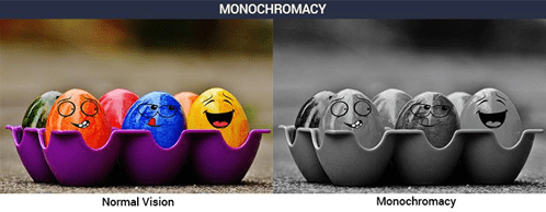 Genetic Disorders: Pedigree Analysis & Mendelian Disorders | Biology Class 12 - NEET