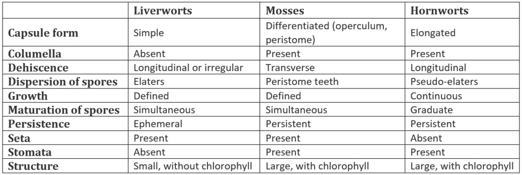 Classification of Bryophyta: Liverworts, Hornworts & Mosses | Additional Study Material for NEET