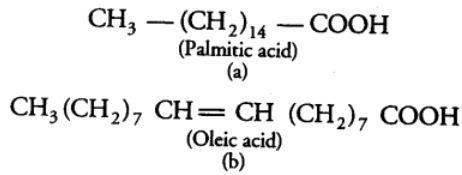 Biomolecules & Its Types | Biology Class 11 - NEET