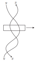 Nature of Bond Linking Monomers in a Polymer | Biology for ACT