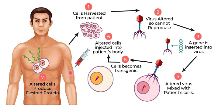 Biotechnology and its Applications Chapter Notes | Biology Class 12 - NEET