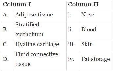 NCERT Exemplar: Structural Organisation in Animals | Biology Class 11 - NEET