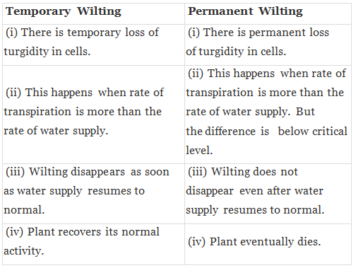 NCERT Exemplar: Transport in Plants (Old NCERT) | Biology for Grade 11