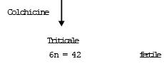 Types of Mutation | Additional Study Material for NEET