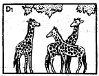Theories of Organic Evolution (Part - 1) - Notes, Botany, Class 12