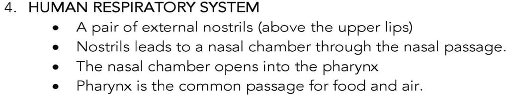 Key Notes: Breathing & Exchange of Gases - NEET