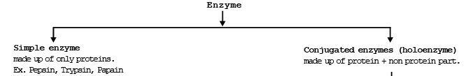 Enzymes & Factors Affecting Respiration | Biology for ACT