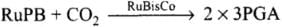 NCERT Exemplar: Photosynthesis in Higher Plants | Biology Class 11 - NEET