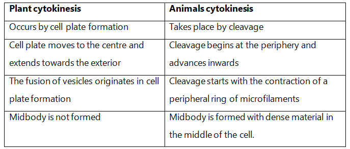 NCERT Solutions Class 11 Biology Chapter 10 - Cell Cycle and Cell Division