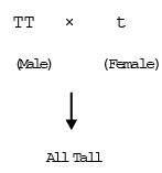 Inheritance of One Gene & Inheritance of Two Genes | Additional Study Material for NEET