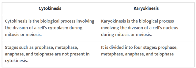 NCERT Solutions Class 11 Biology Chapter 10 - Cell Cycle and Cell Division
