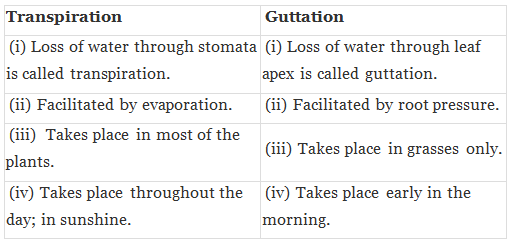 NCERT Exemplar: Transport in Plants (Old NCERT) | Biology for Grade 11