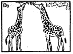 Theories of Organic Evolution (Part - 1) - Notes, Botany, Class 12