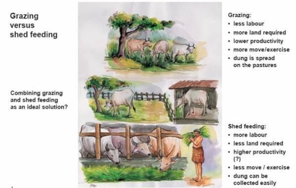 Strategies for Enhancement in Food Production (Old NCERT) NCERT Solutions | General Science for Competitive Exams - RRB Group D / RPF Constable