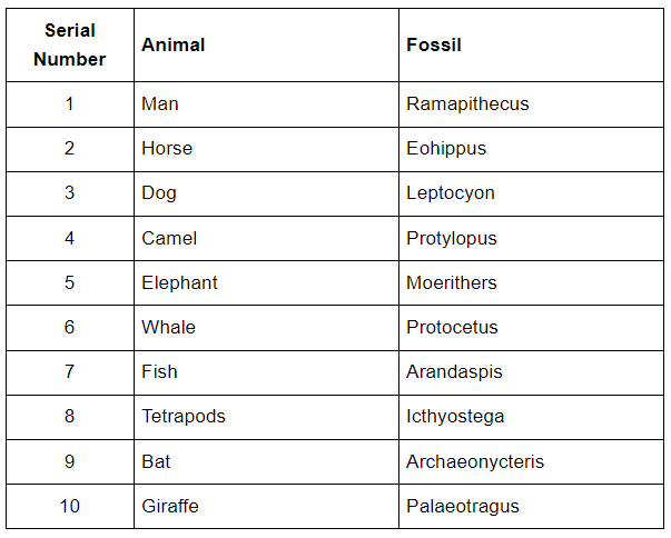 NCERT Solutions Class 12 Biology Chapter 6 - Evolution