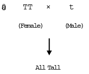 Genetics, Class 12, Biology | General Awareness - Bank Exams